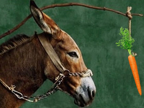 Donkey and carrot